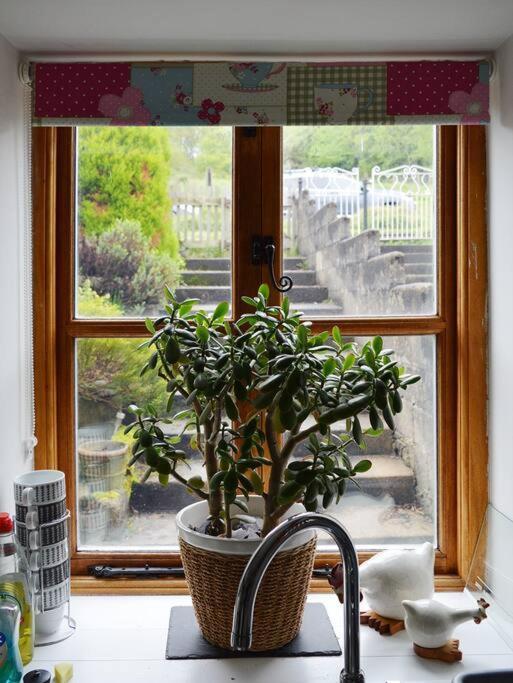 Foresters Inn Cottage Parkend ภายนอก รูปภาพ